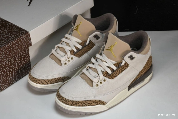 Retro Jordan  3  CT8532-102 Palomino CT8532-102 0925